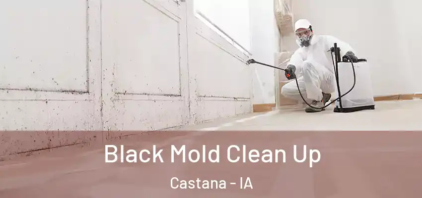 Black Mold Clean Up Castana - IA