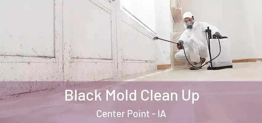 Black Mold Clean Up Center Point - IA
