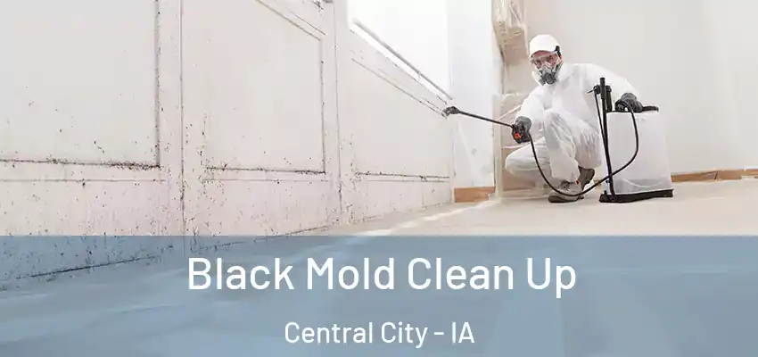 Black Mold Clean Up Central City - IA