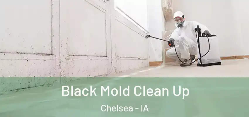 Black Mold Clean Up Chelsea - IA