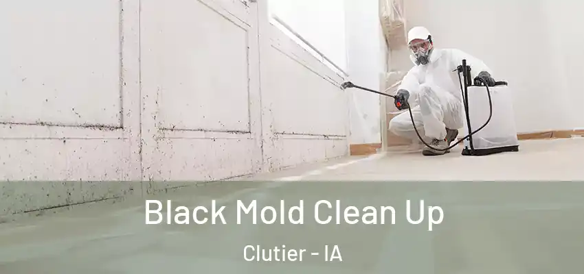 Black Mold Clean Up Clutier - IA