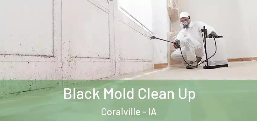  Black Mold Clean Up Coralville - IA