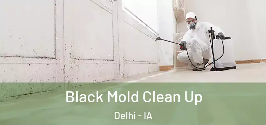  Black Mold Clean Up Delhi - IA