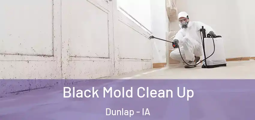 Black Mold Clean Up Dunlap - IA