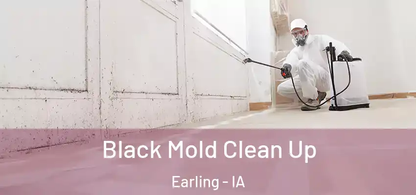 Black Mold Clean Up Earling - IA
