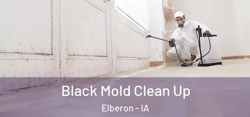  Black Mold Clean Up Elberon - IA