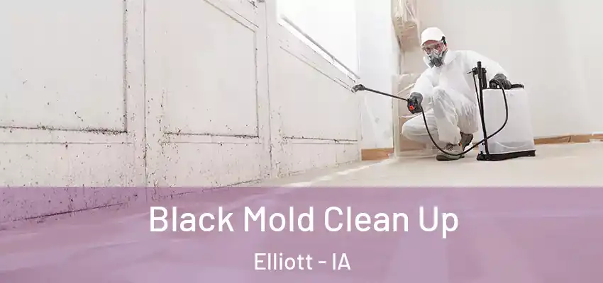  Black Mold Clean Up Elliott - IA