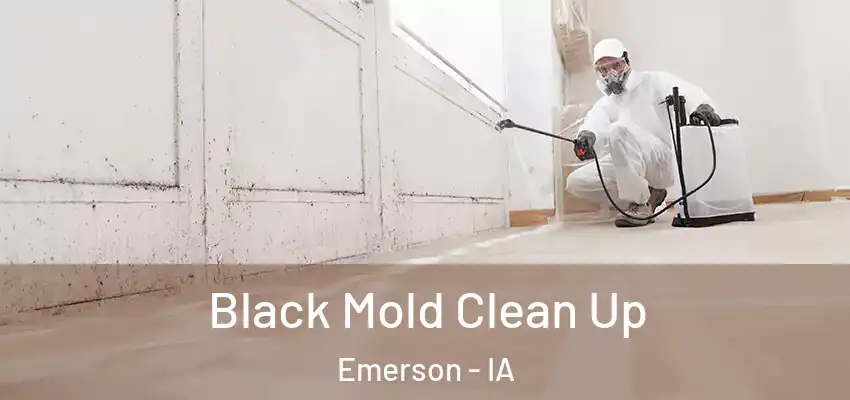 Black Mold Clean Up Emerson - IA