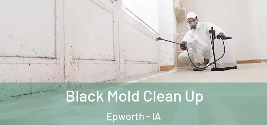  Black Mold Clean Up Epworth - IA