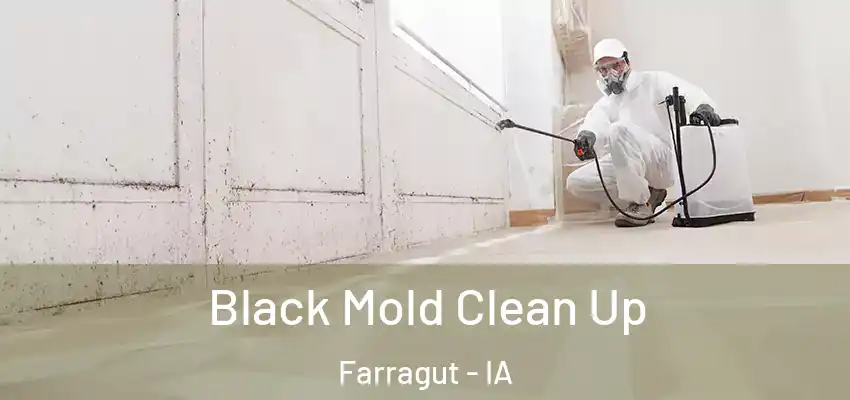  Black Mold Clean Up Farragut - IA
