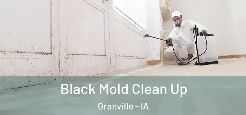  Black Mold Clean Up Granville - IA