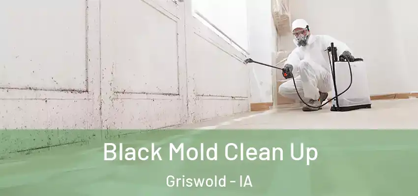 Black Mold Clean Up Griswold - IA