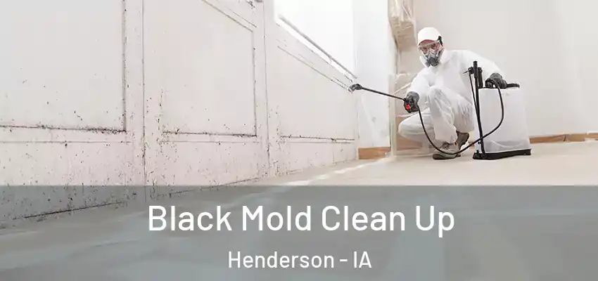  Black Mold Clean Up Henderson - IA