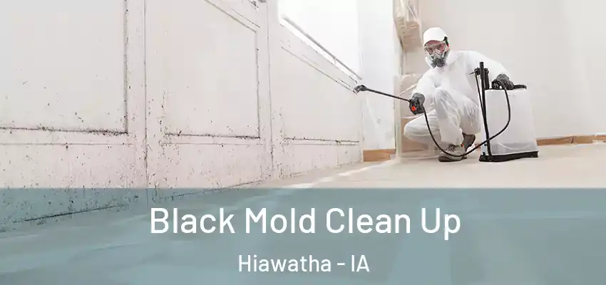  Black Mold Clean Up Hiawatha - IA