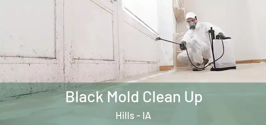  Black Mold Clean Up Hills - IA