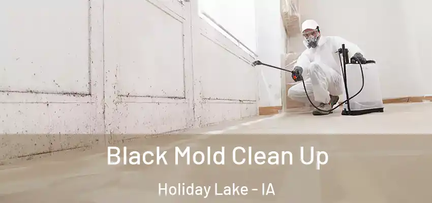  Black Mold Clean Up Holiday Lake - IA