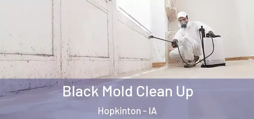  Black Mold Clean Up Hopkinton - IA