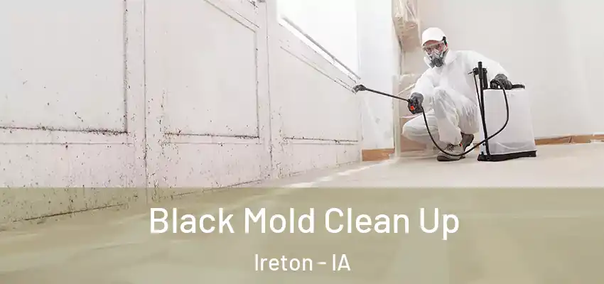  Black Mold Clean Up Ireton - IA