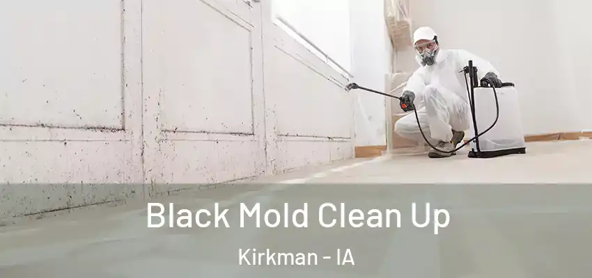 Black Mold Clean Up Kirkman - IA