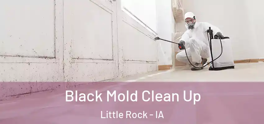  Black Mold Clean Up Little Rock - IA