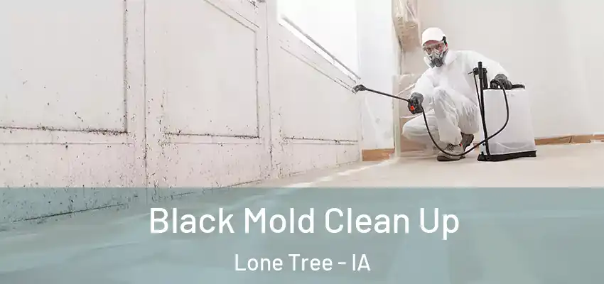 Black Mold Clean Up Lone Tree - IA