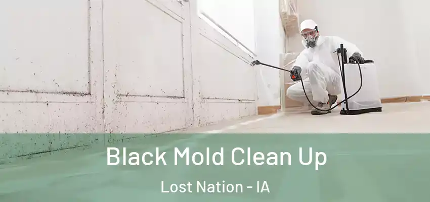 Black Mold Clean Up Lost Nation - IA