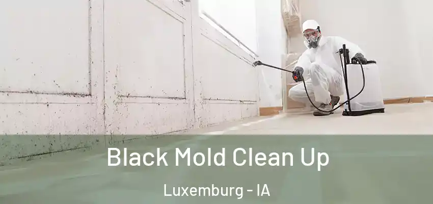  Black Mold Clean Up Luxemburg - IA