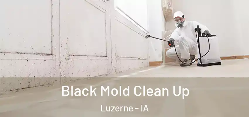 Black Mold Clean Up Luzerne - IA