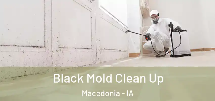  Black Mold Clean Up Macedonia - IA