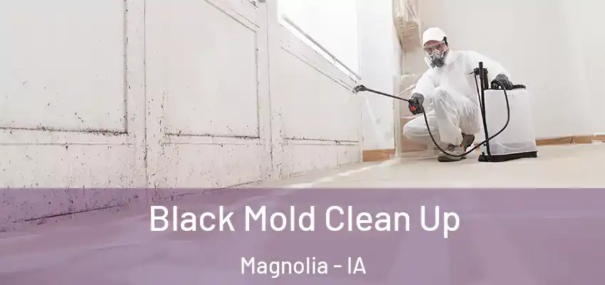  Black Mold Clean Up Magnolia - IA