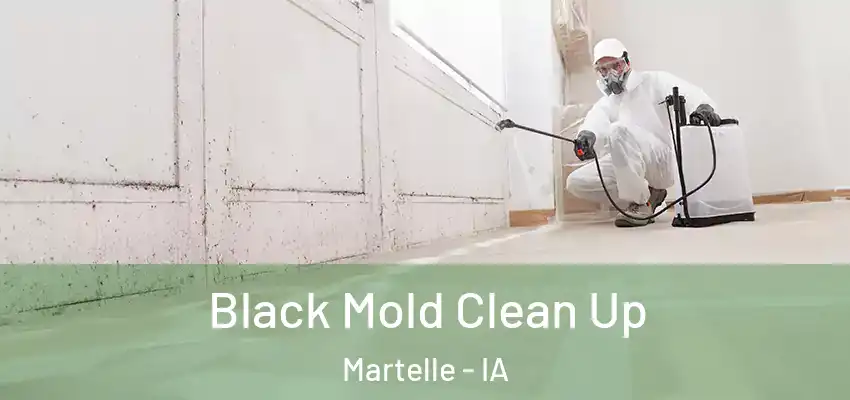 Black Mold Clean Up Martelle - IA