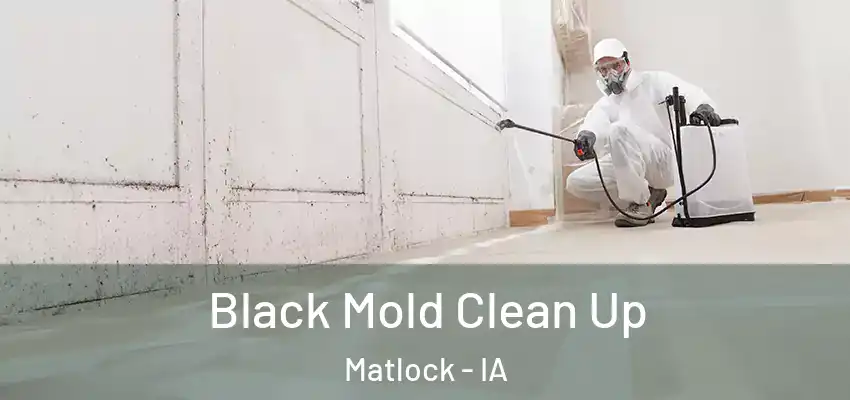  Black Mold Clean Up Matlock - IA