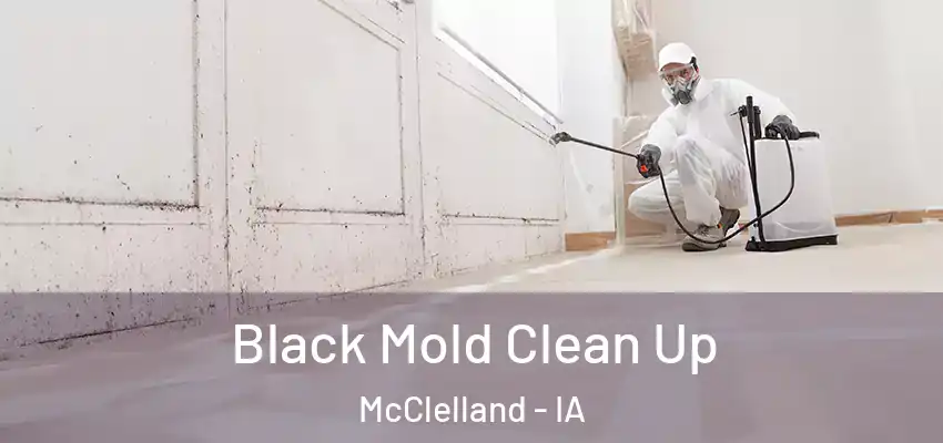  Black Mold Clean Up McClelland - IA