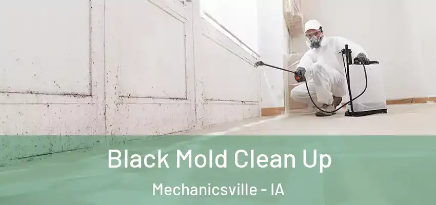  Black Mold Clean Up Mechanicsville - IA