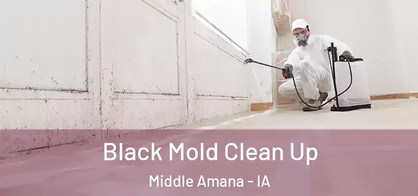  Black Mold Clean Up Middle Amana - IA