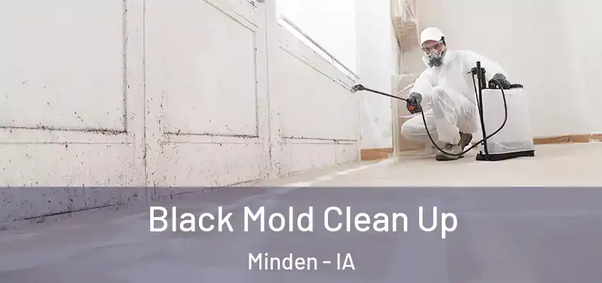 Black Mold Clean Up Minden - IA
