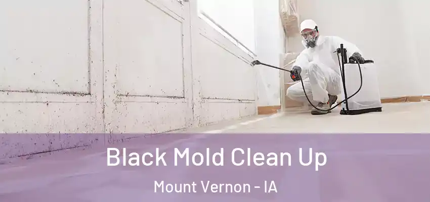  Black Mold Clean Up Mount Vernon - IA