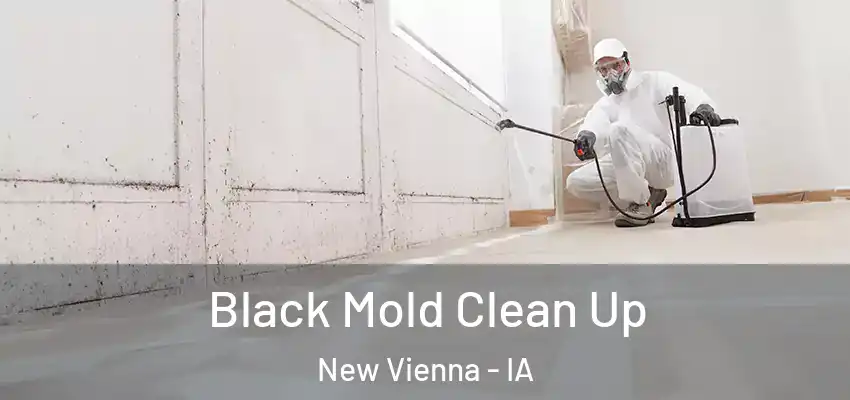  Black Mold Clean Up New Vienna - IA