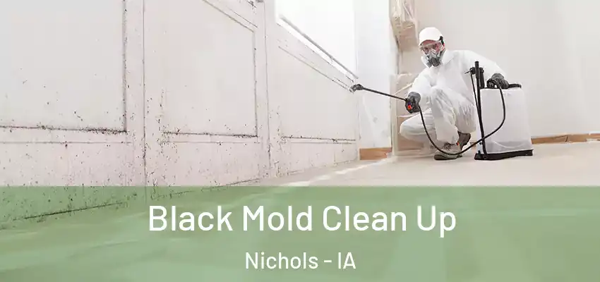  Black Mold Clean Up Nichols - IA