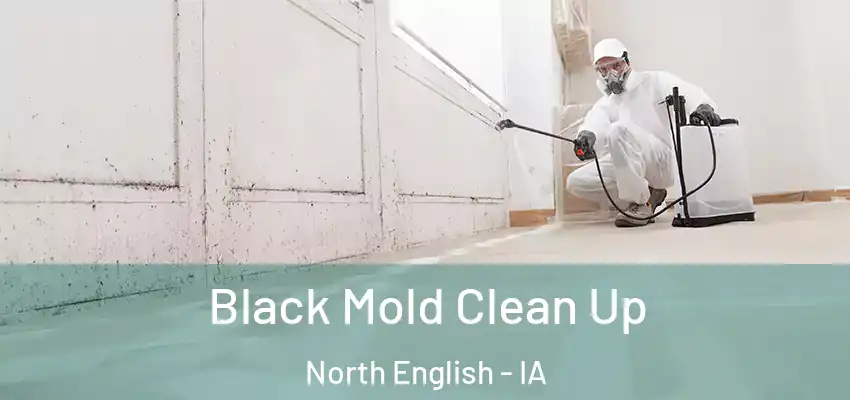 Black Mold Clean Up North English - IA