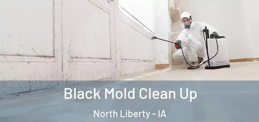  Black Mold Clean Up North Liberty - IA