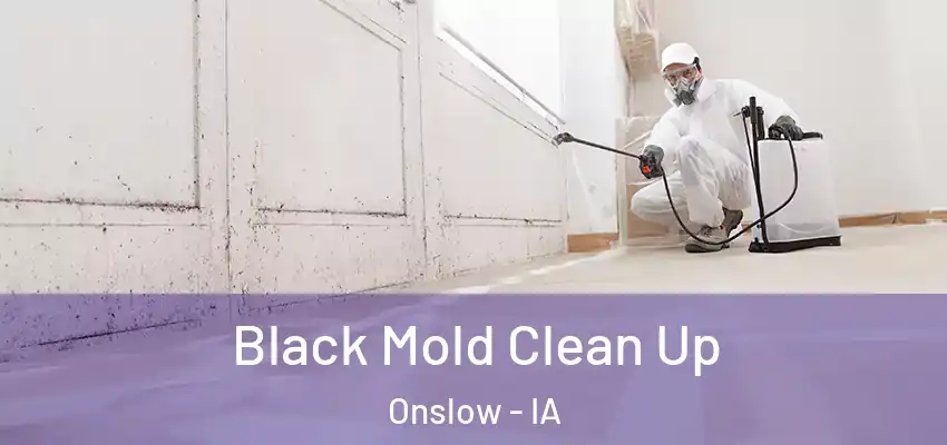  Black Mold Clean Up Onslow - IA