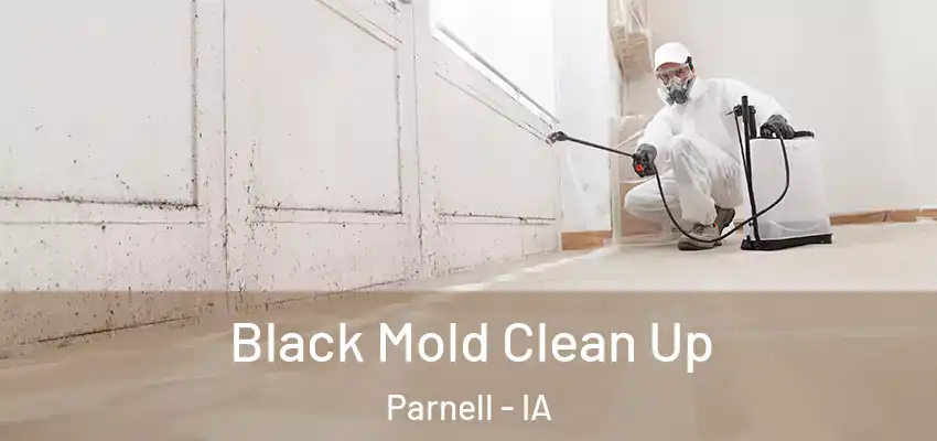 Black Mold Clean Up Parnell - IA