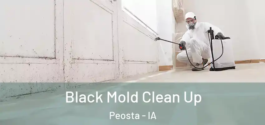  Black Mold Clean Up Peosta - IA