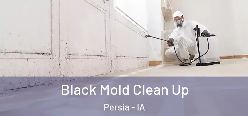 Black Mold Clean Up Persia - IA