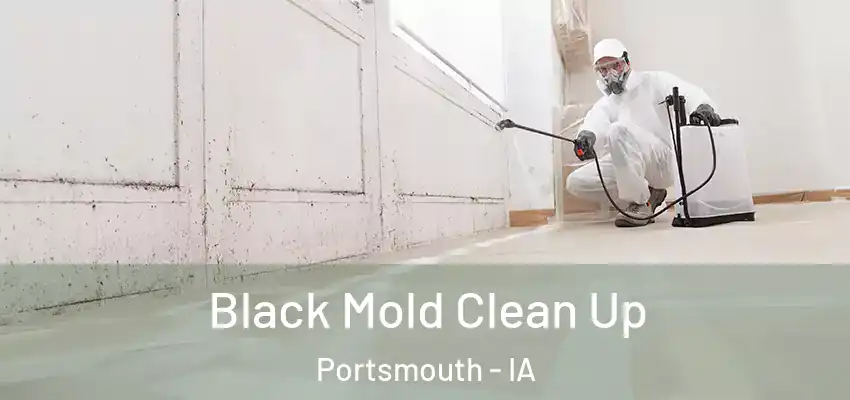 Black Mold Clean Up Portsmouth - IA