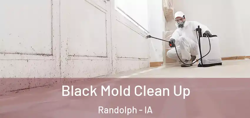  Black Mold Clean Up Randolph - IA