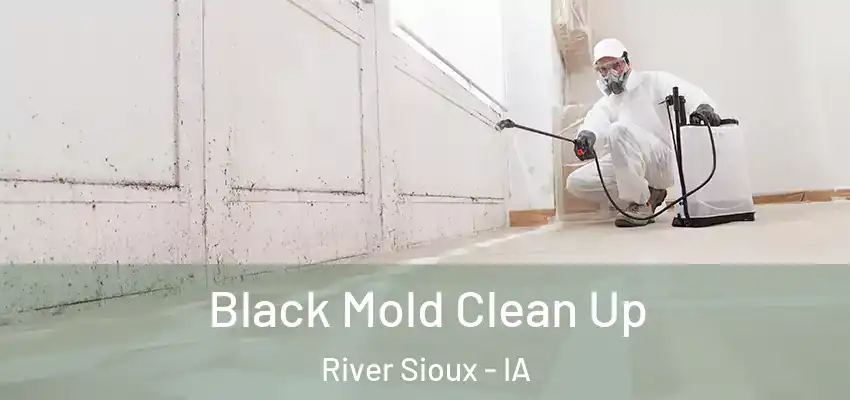 Black Mold Clean Up River Sioux - IA