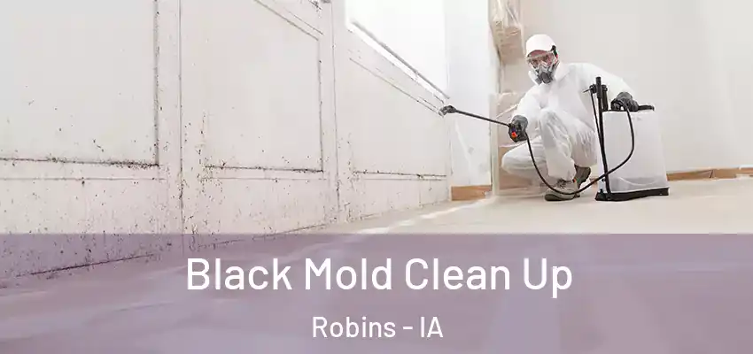  Black Mold Clean Up Robins - IA