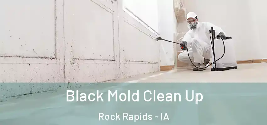  Black Mold Clean Up Rock Rapids - IA